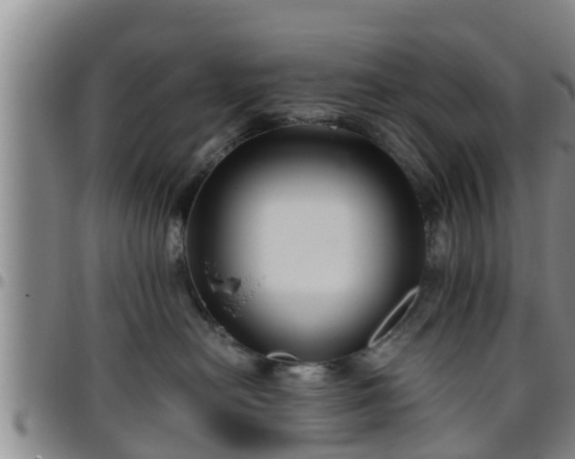 X0000096400478200801311355