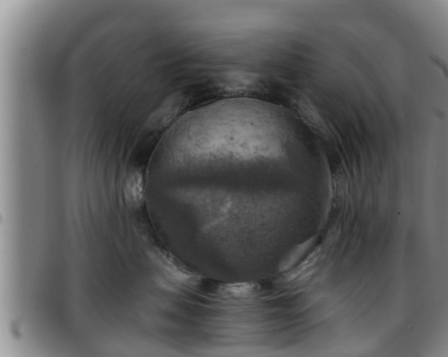 X0000096400479200801311355