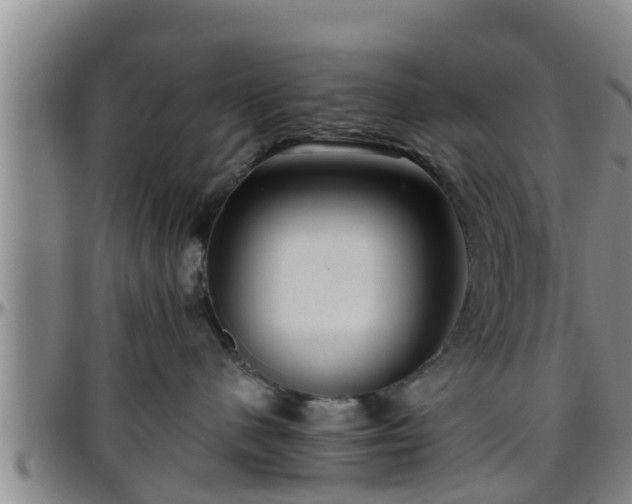 X0000096400480200801311355