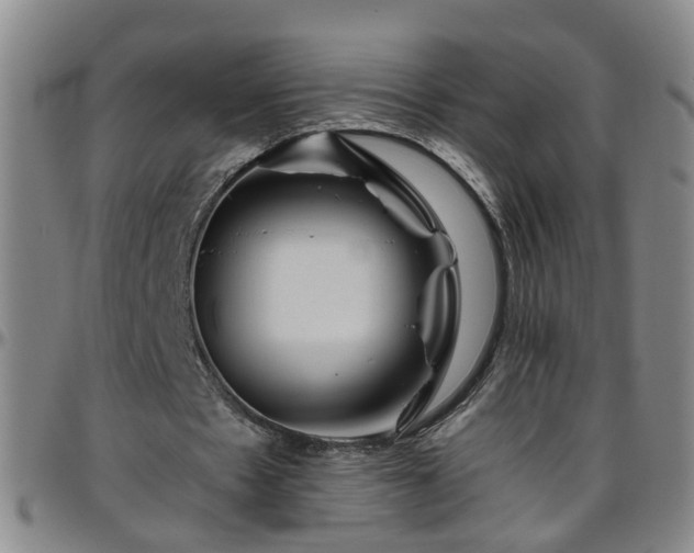 X0000096400481200801311354