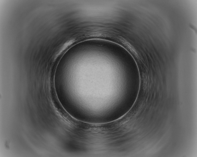 X0000096400482200801311354