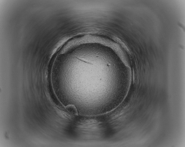 X0000096400483200801311354