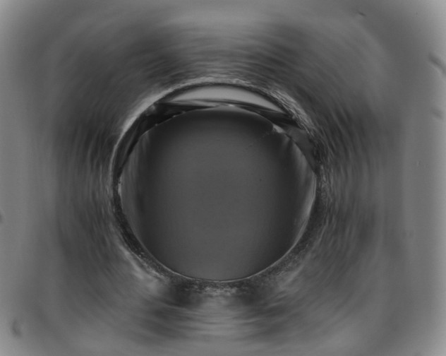 X0000096400484200801311354