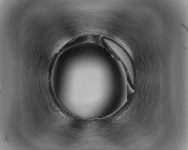 X0000096400485200801311354