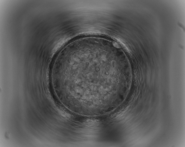 X0000096400487200801311354