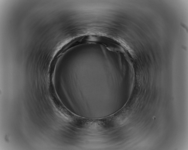 X0000096400488200801311354