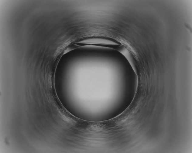 X0000096400489200801311354