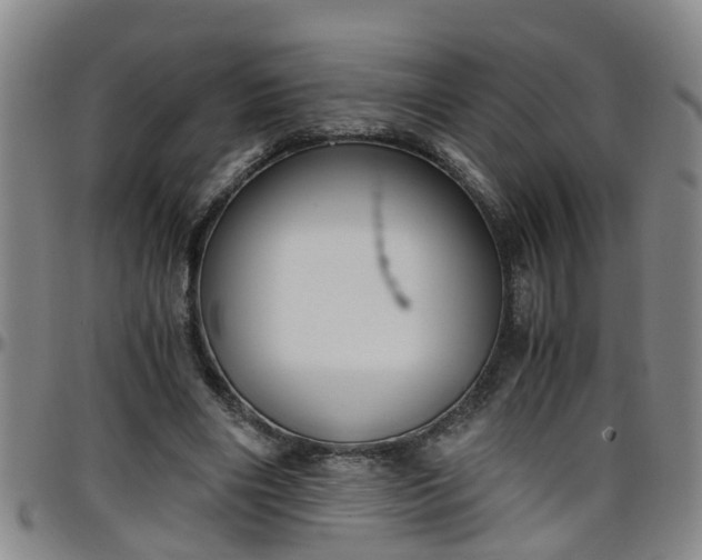 X0000096400490200801311354