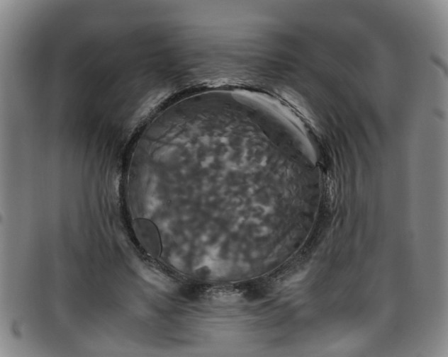 X0000096400491200801311354