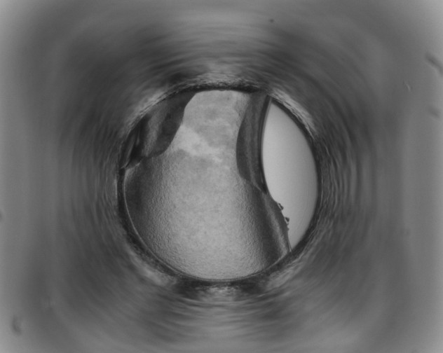 X0000096400493200801311354