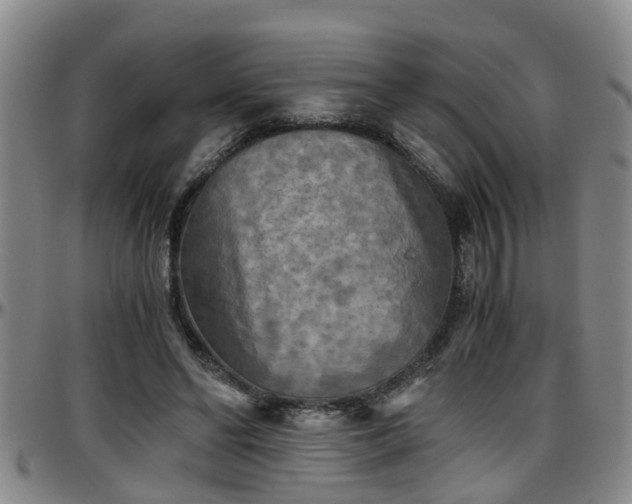 X0000096400494200801311354