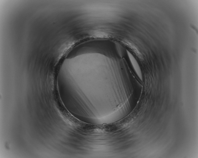 X0000096400496200801311354