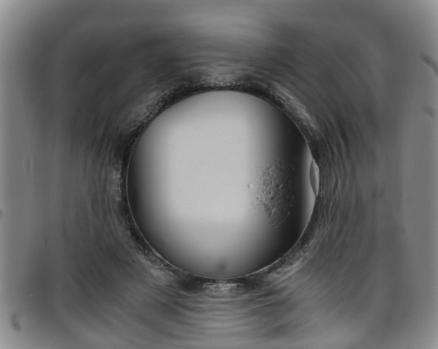 X0000096400497200801311354