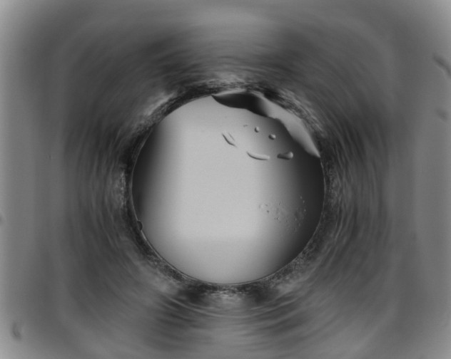 X0000096400498200801311354