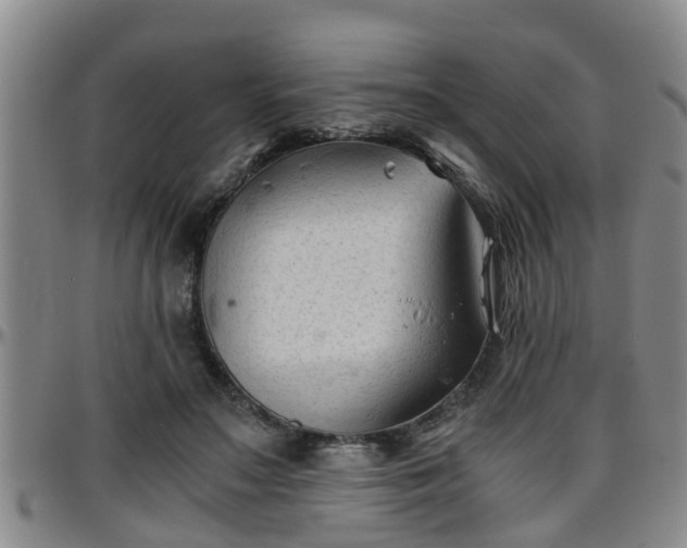 X0000096400499200801311354