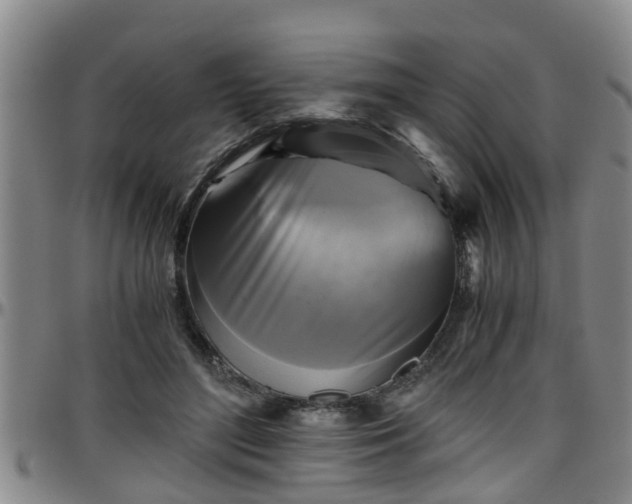 X0000096400500200801311354