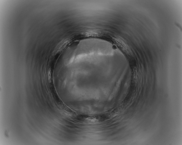 X0000096400502200801311354