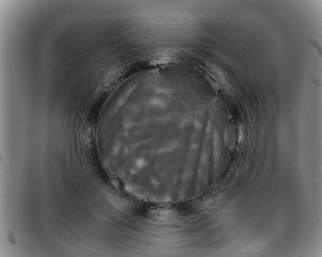 X0000096400503200801311354