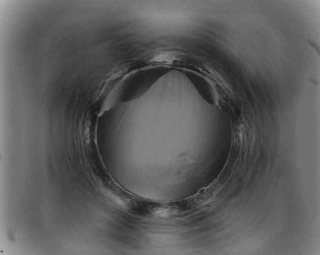 X0000096400504200801311354