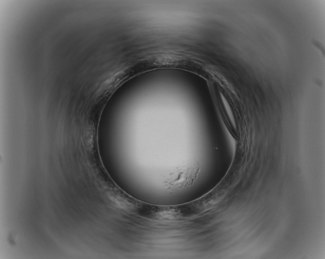 X0000096400505200801311354