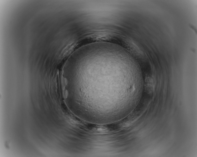 X0000096400506200801311354