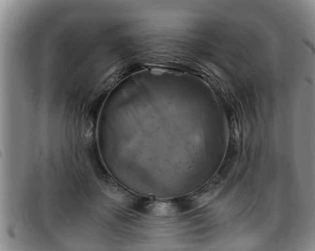 X0000096400507200801311354