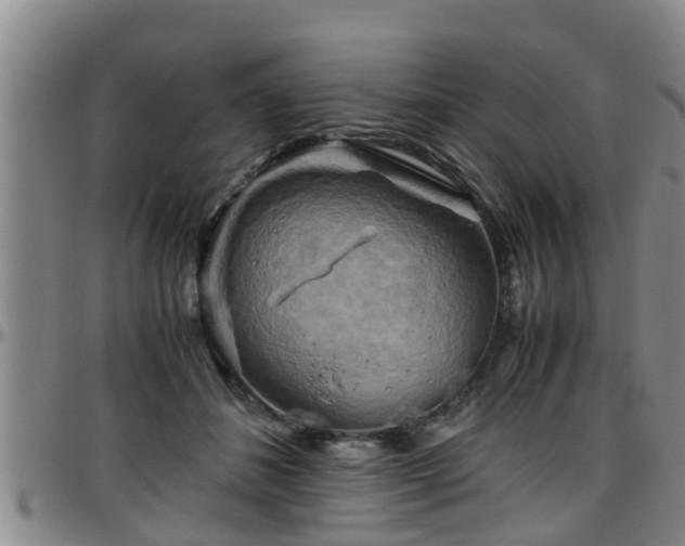 X0000096400508200801311354