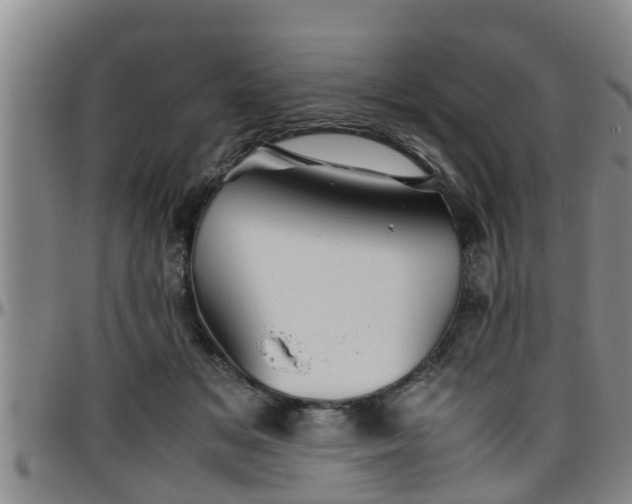 X0000096400509200801311354