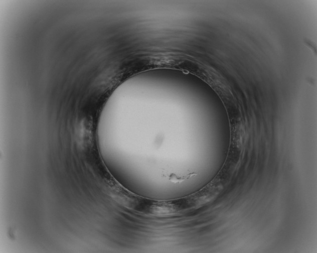 X0000096400510200801311354