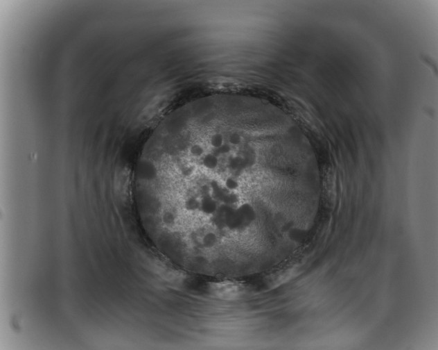 X0000096400511200801311354