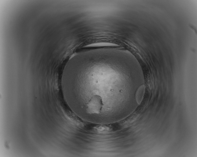 X0000096400512200801311354