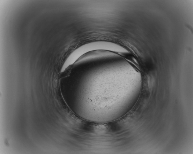 X0000096400513200801311354