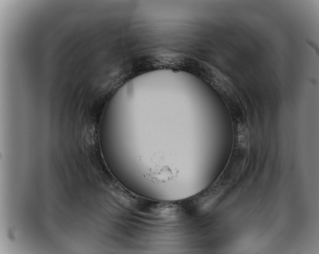 X0000096400514200801311354