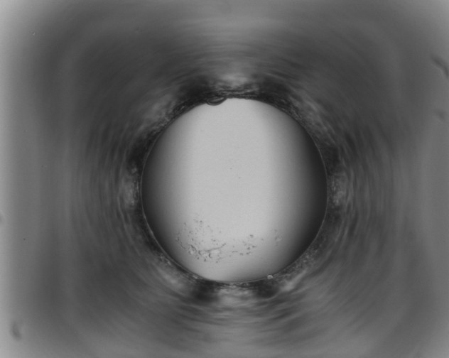 X0000096400515200801311354