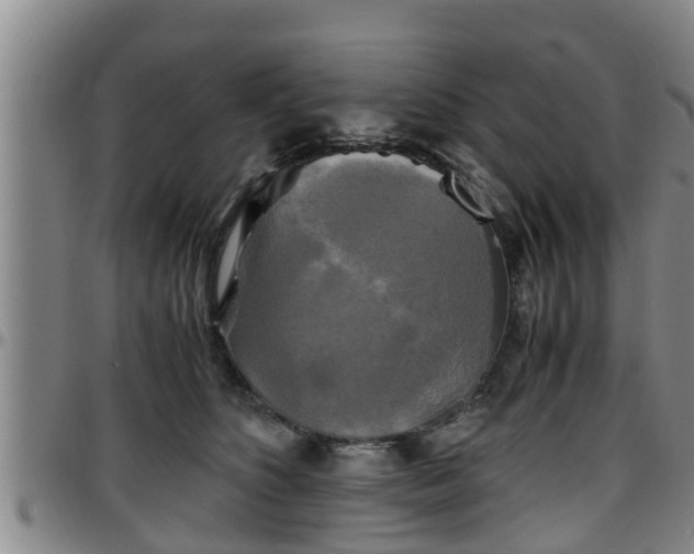 X0000096400516200801311354