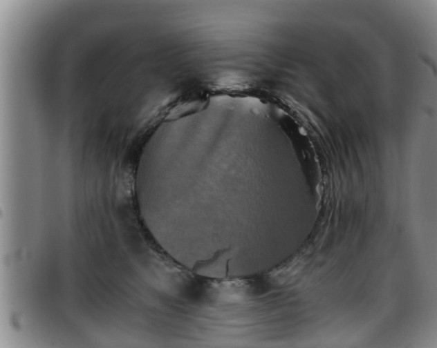 X0000096400517200801311354