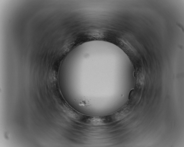 X0000096400518200801311354