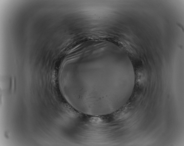 X0000096400519200801311354