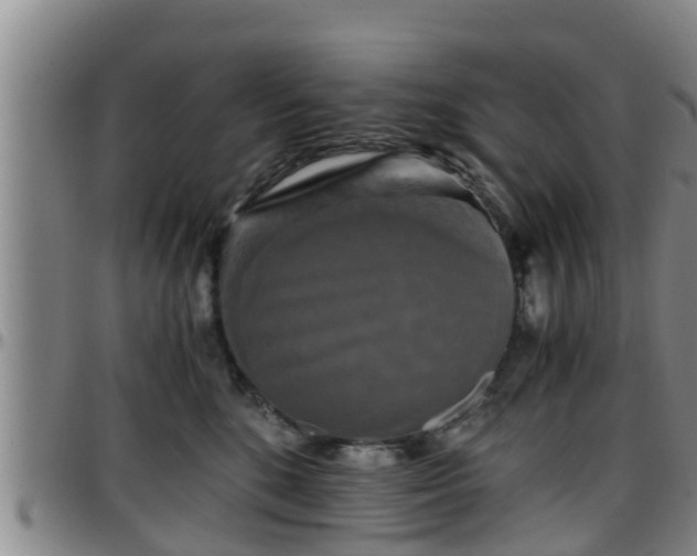 X0000096400520200801311354