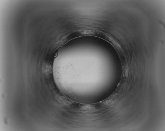 X0000096400521200801311354