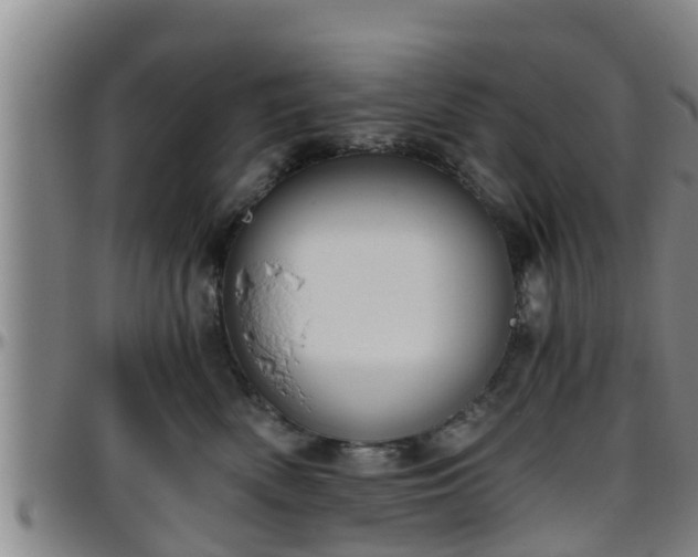 X0000096400522200801311354