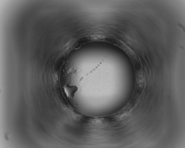 X0000096400523200801311354