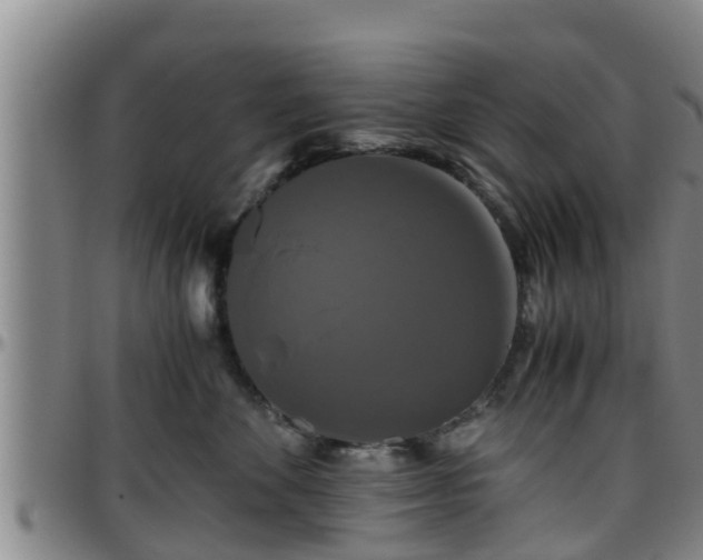 X0000096400524200801311354