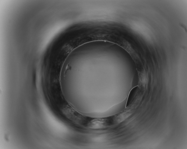 X0000096400526200801311354