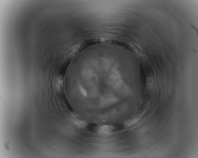 X0000096400527200801311354