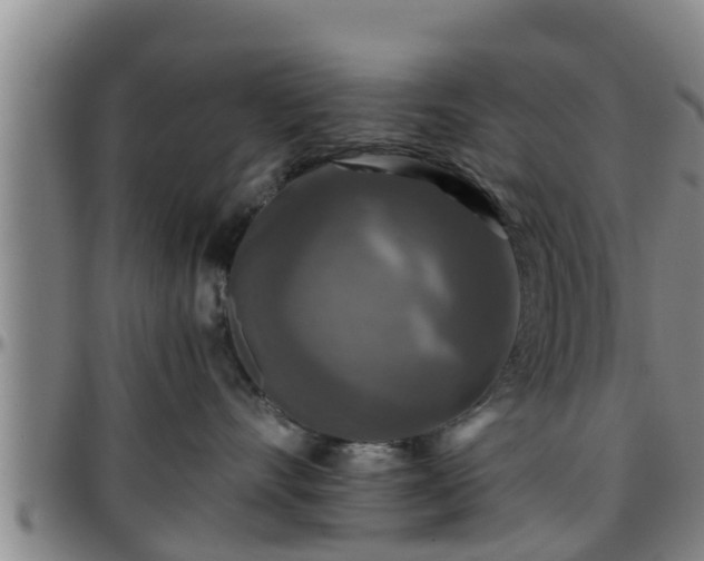 X0000096400528200801311354