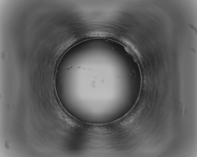 X0000096400529200801311353