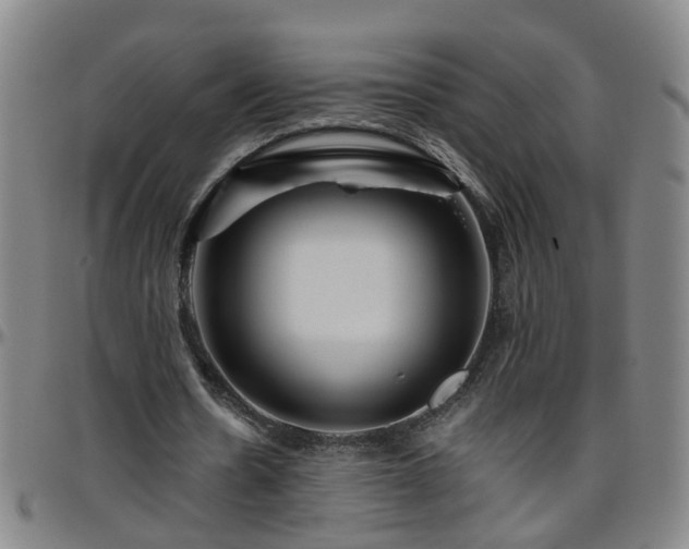 X0000096400530200801311353