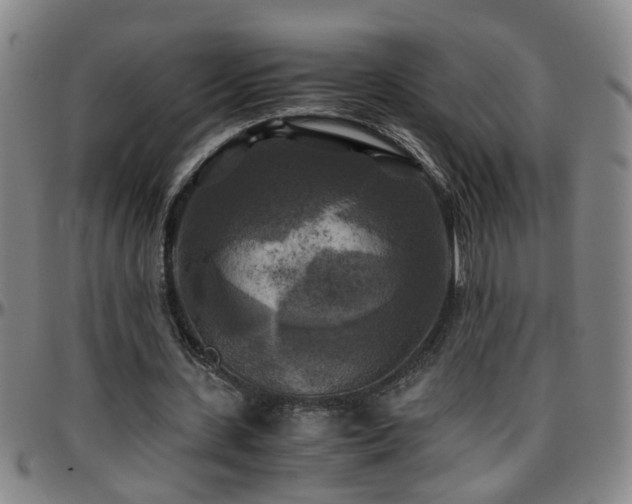 X0000096400531200801311353