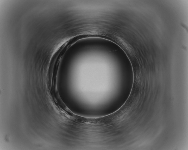 X0000096400532200801311353